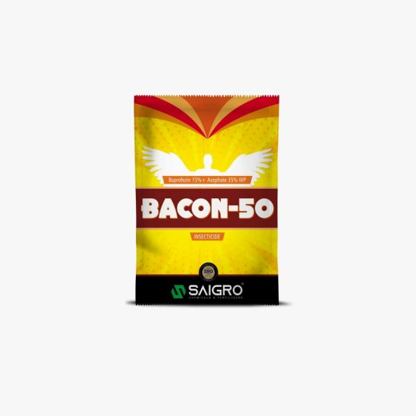 Bacon-50