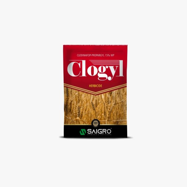 Clogyl