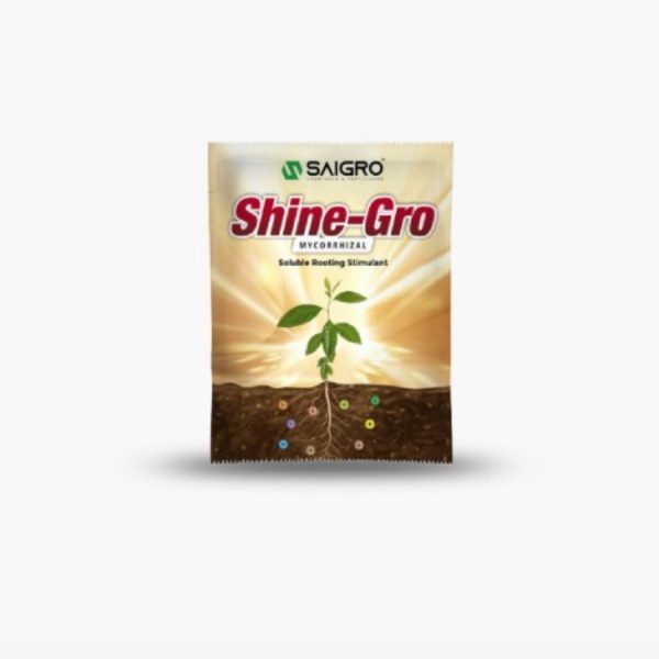 Shine-Gro