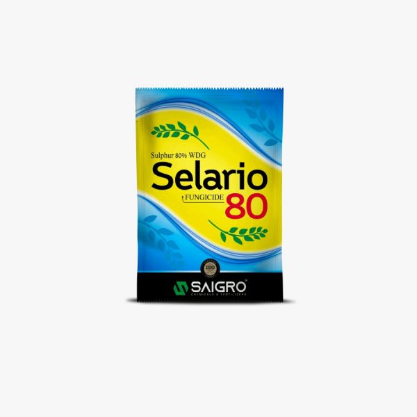 Selario-80